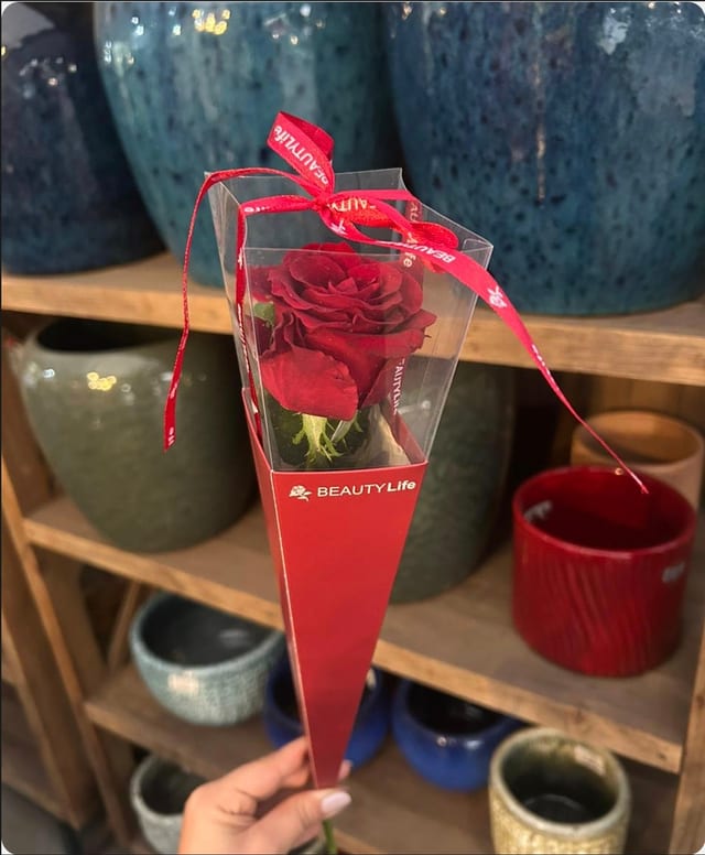 Bella rosa